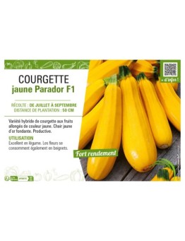 COURGETTE JAUNE PARADOR F1