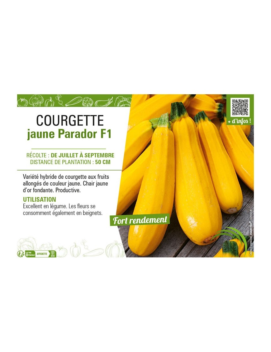 COURGETTE JAUNE PARADOR F1