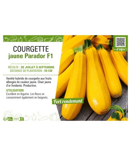 COURGETTE JAUNE PARADOR F1