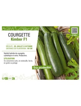 COURGETTE KIMBER F1