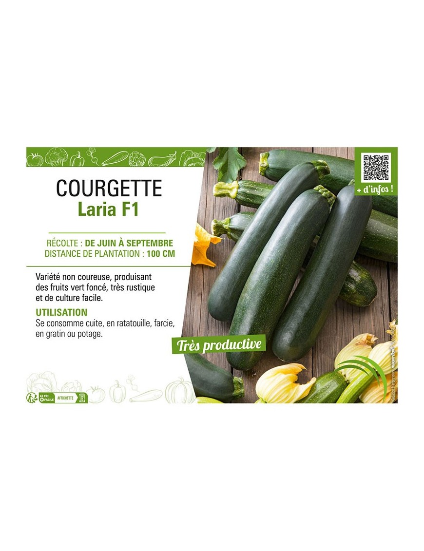COURGETTE LARIA F1