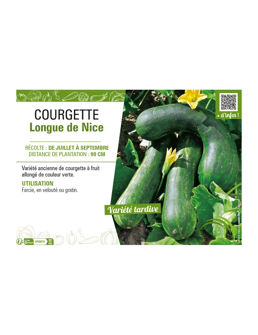 COURGETTE LONGUE DE NICE