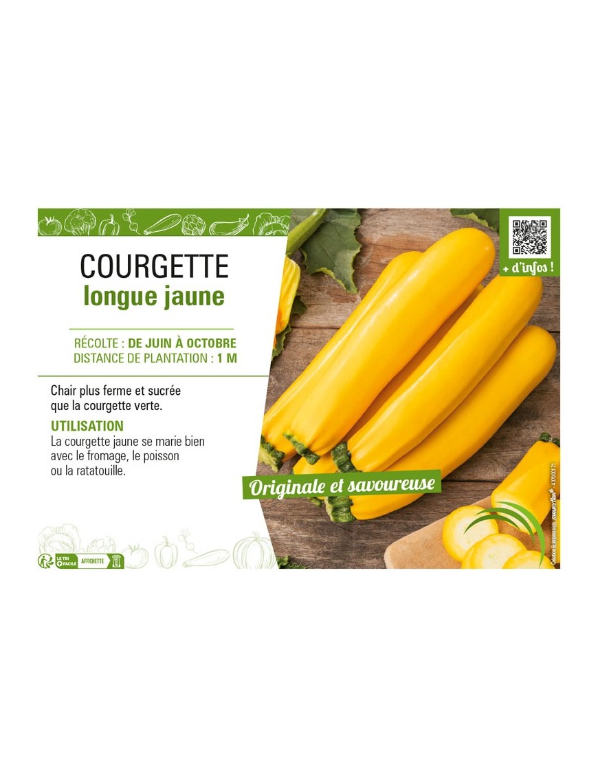 COURGETTE LONGUE JAUNE