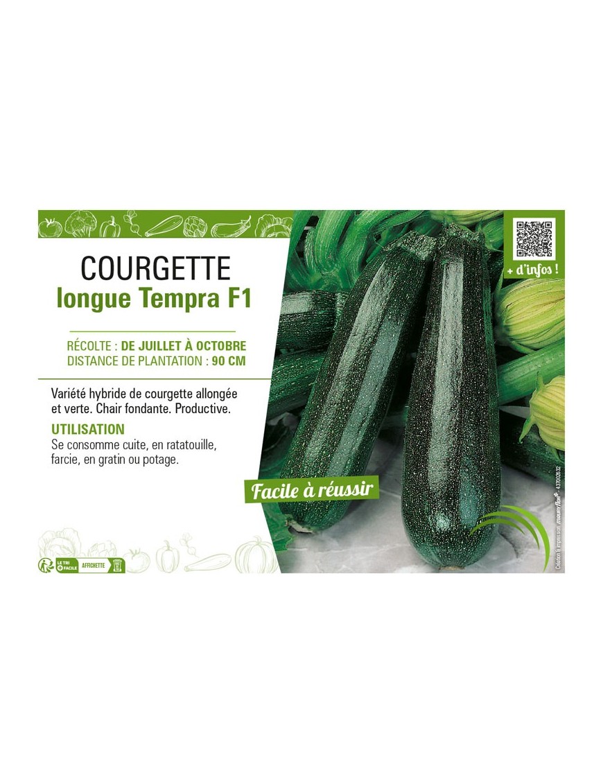COURGETTE LONGUE TEMPRA F1