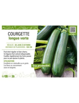 COURGETTE LONGUE VERTE