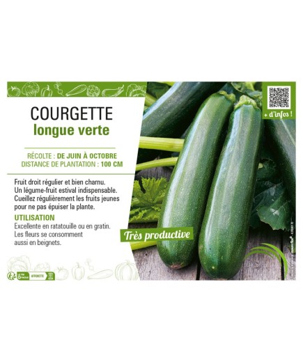 COURGETTE LONGUE VERTE