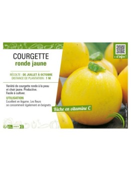 COURGETTE RONDE JAUNE