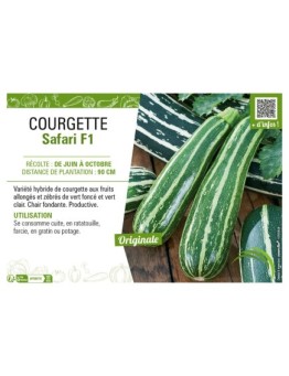 COURGETTE SAFARI F1