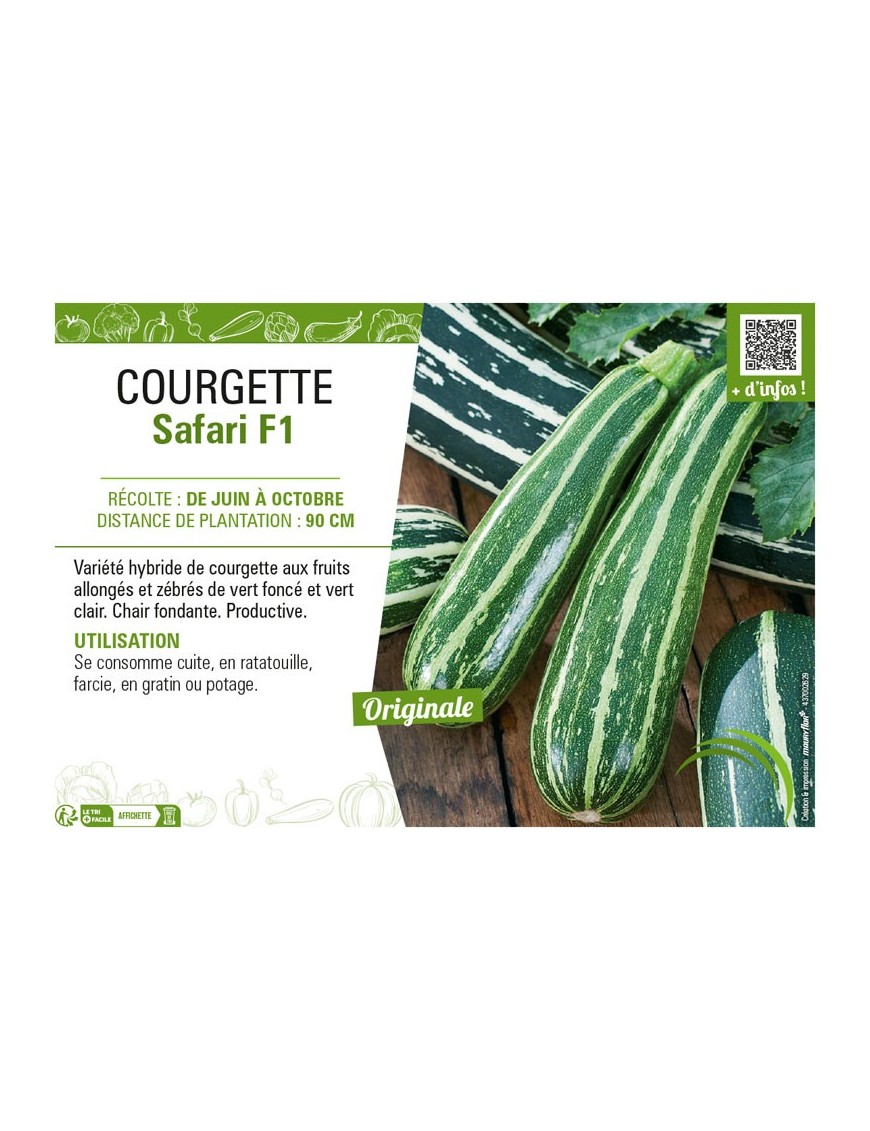COURGETTE SAFARI F1