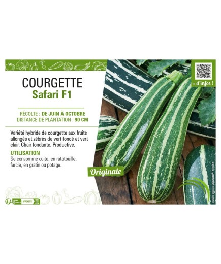 COURGETTE SAFARI F1