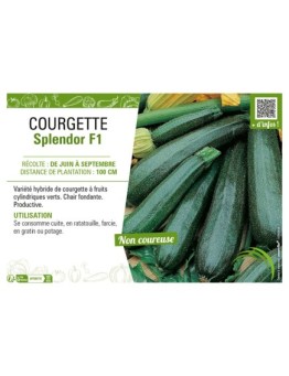 COURGETTE SPLENDOR F1