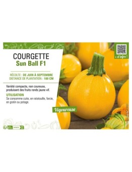 COURGETTE SUN BALL F1