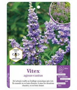 VITEX AGNUS-CASTUS