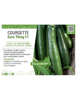 COURGETTE Sure Thing F1