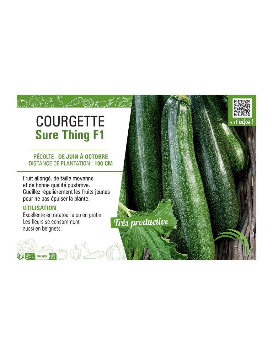 COURGETTE Sure Thing F1