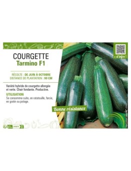 COURGETTE TARMINO F1