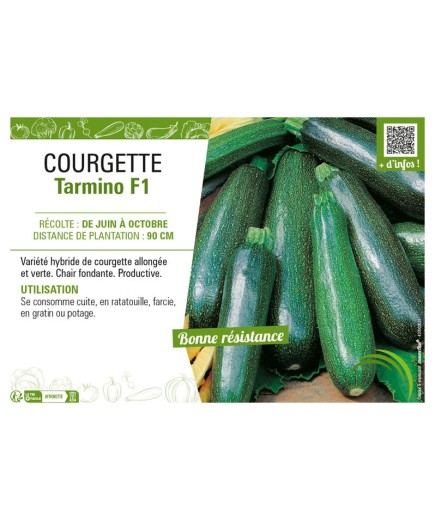 COURGETTE TARMINO F1