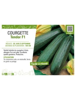 COURGETTE TENDOR F1