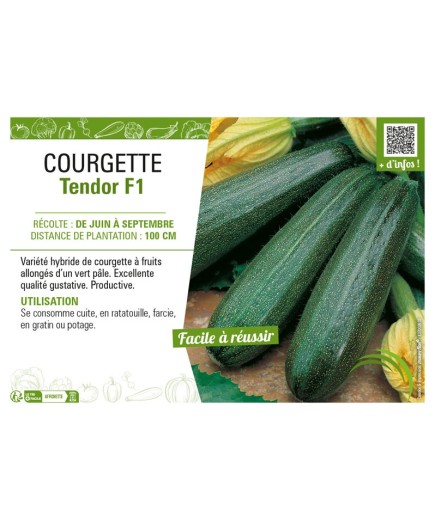 COURGETTE TENDOR F1