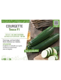 COURGETTE TOSCA F1