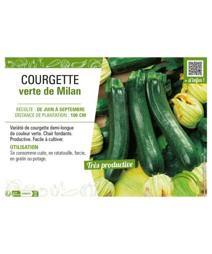 COURGETTE VERTE DE MILAN