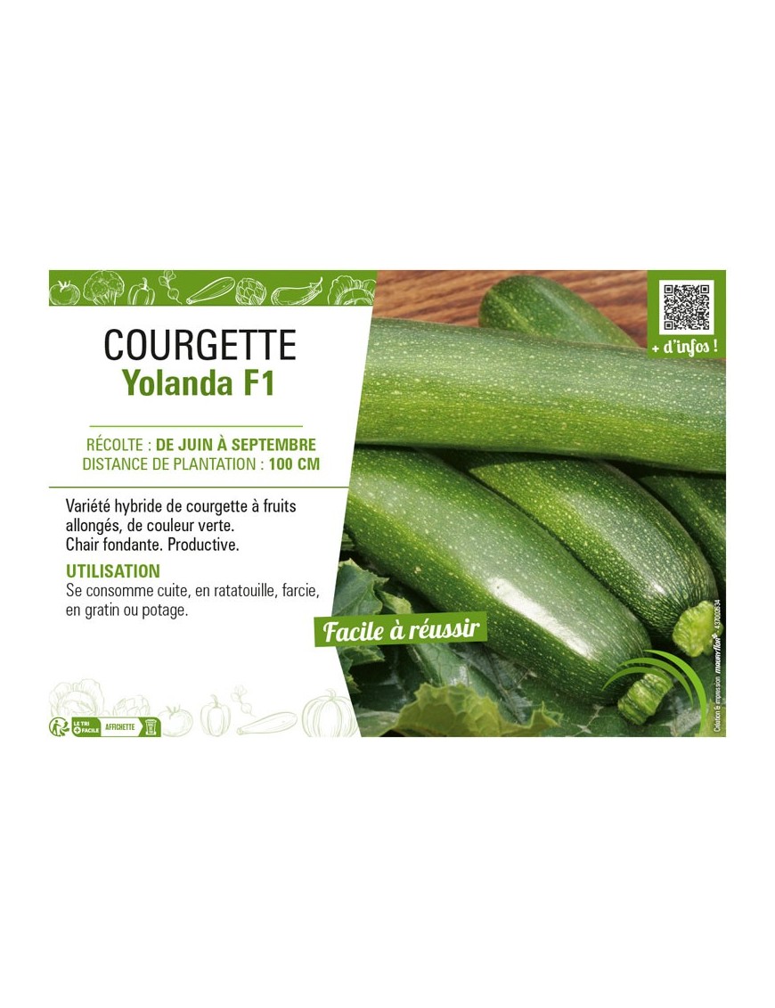 COURGETTE YOLANDA F1