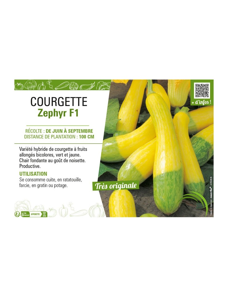COURGETTE ZEPHYR F1