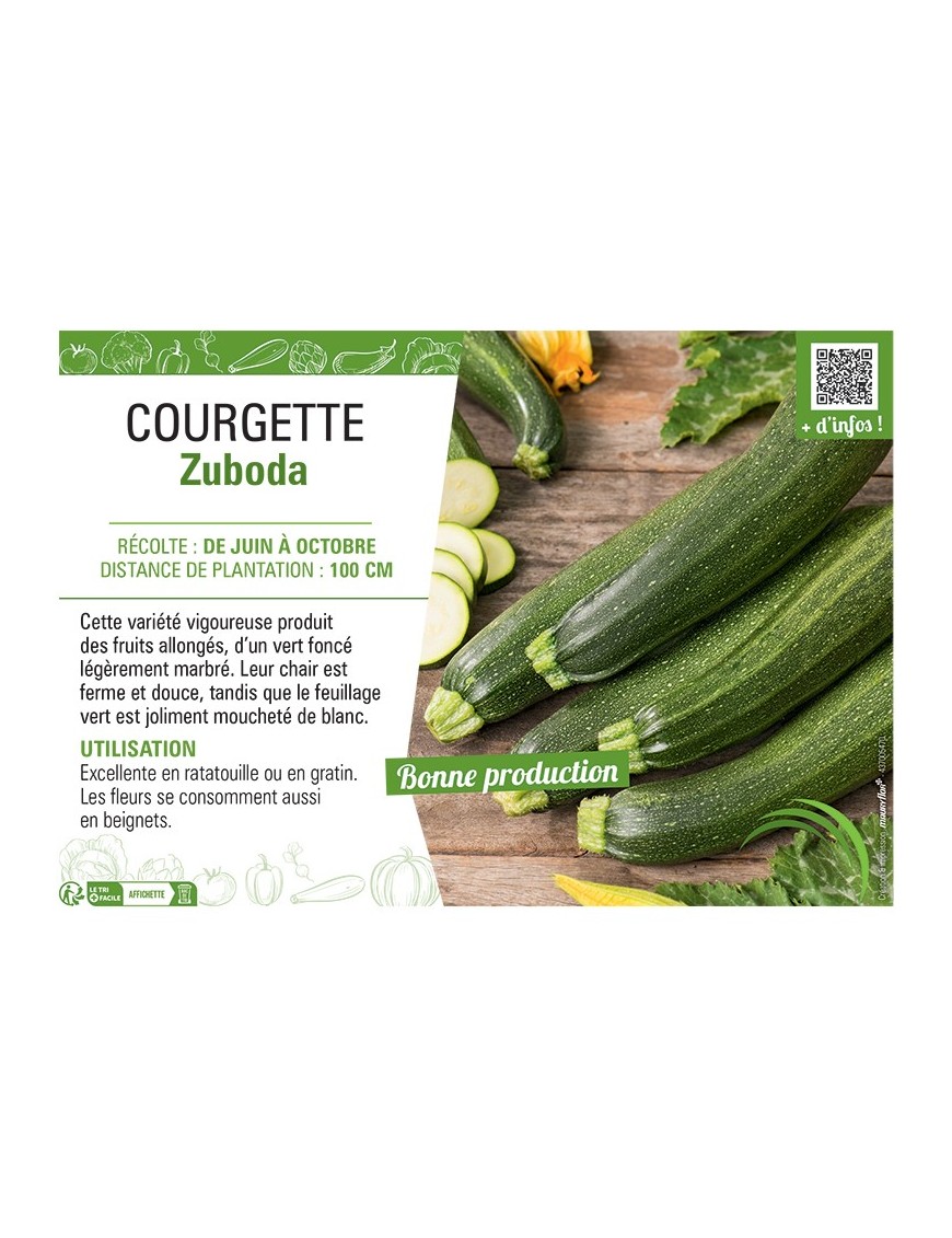 COURGETTE ZUBODA