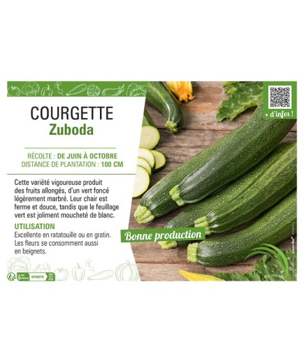 COURGETTE ZUBODA