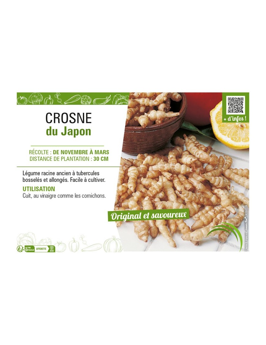 CROSNE DU JAPON