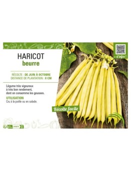 HARICOT BEURRE (À RAMES)