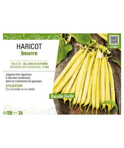 HARICOT BEURRE (À RAMES)