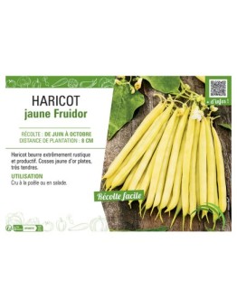 HARICOT JAUNE FRUIDOR