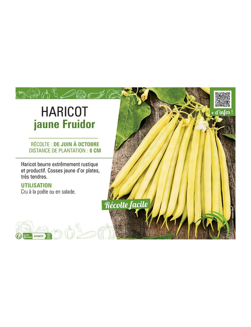 HARICOT JAUNE FRUIDOR