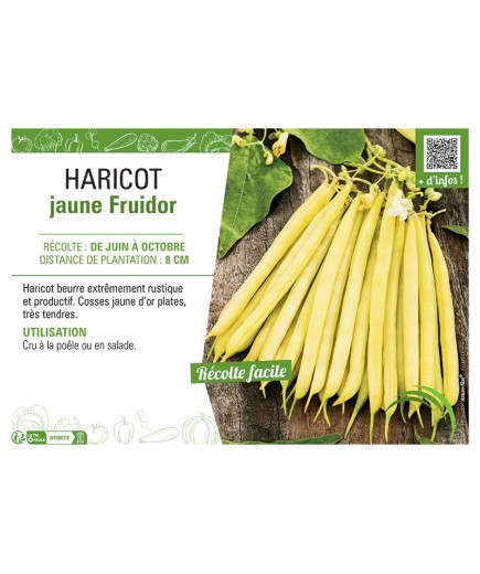 HARICOT JAUNE FRUIDOR