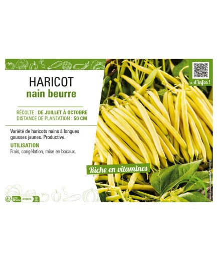 HARICOT NAIN BEURRE