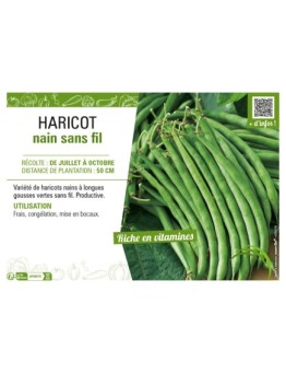 HARICOT NAIN SANS FIL