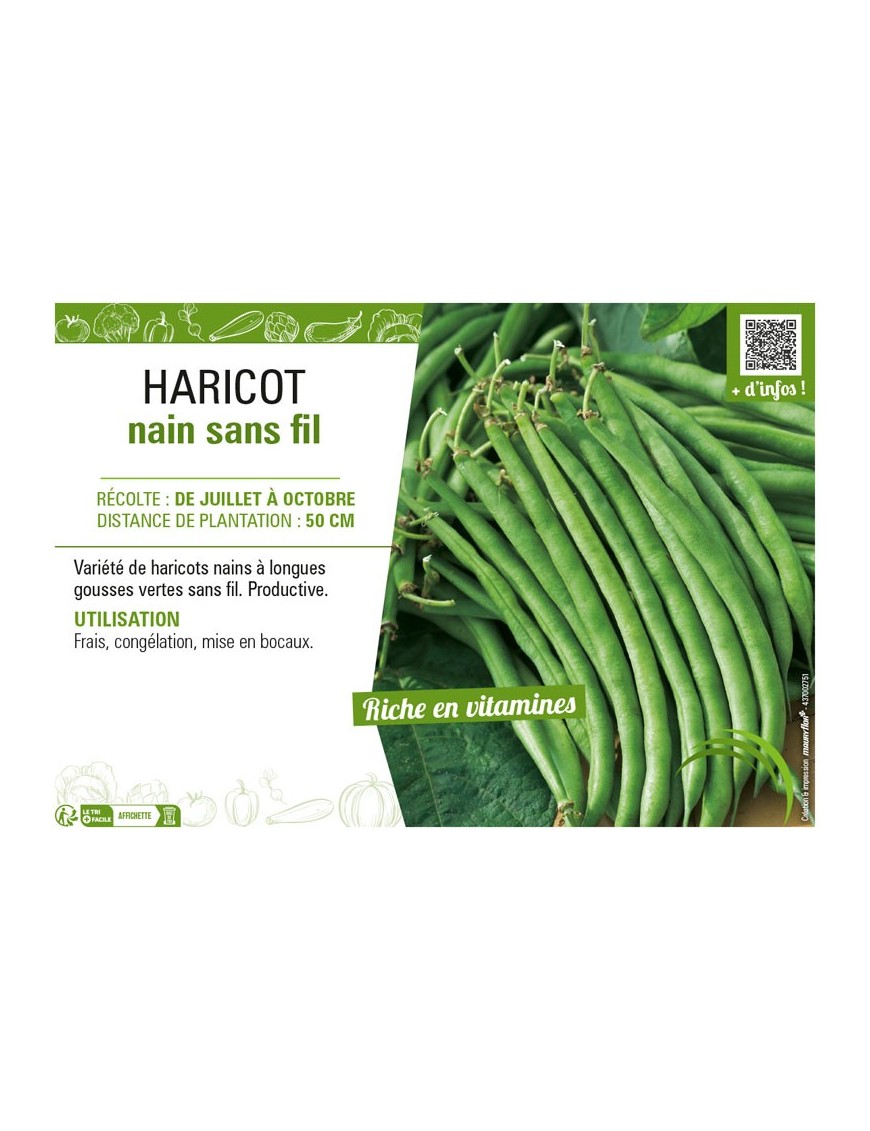 HARICOT NAIN SANS FIL