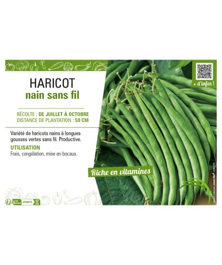 HARICOT NAIN SANS FIL