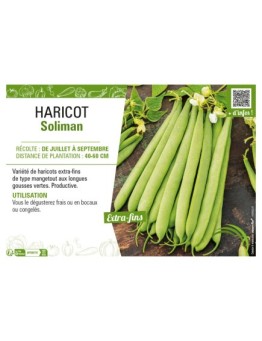 HARICOT SOLIMAN