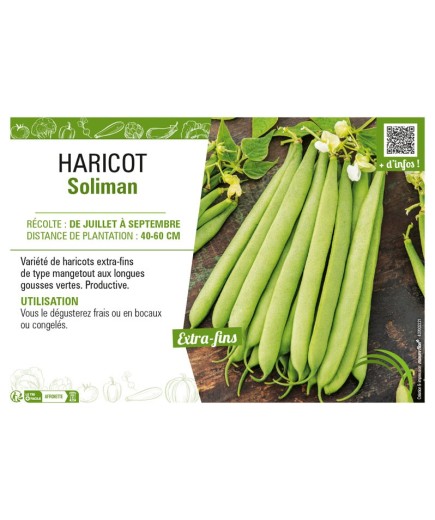HARICOT SOLIMAN
