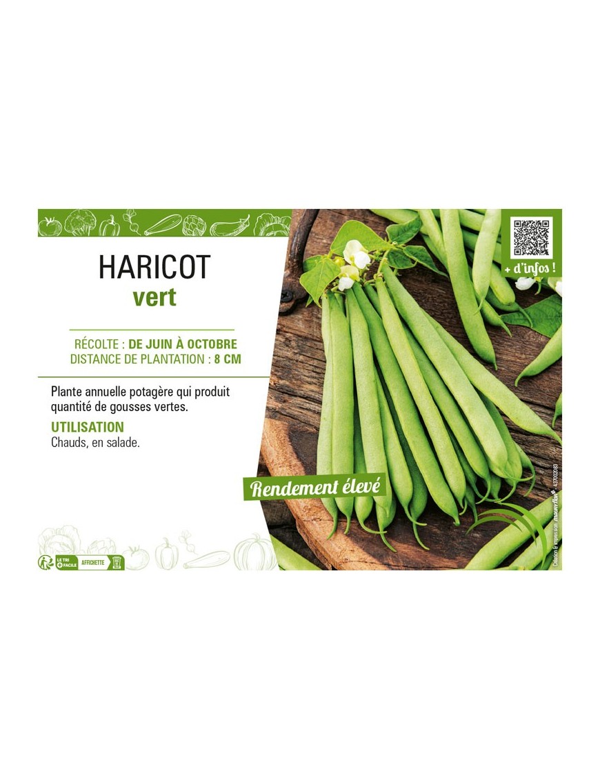HARICOT VERT