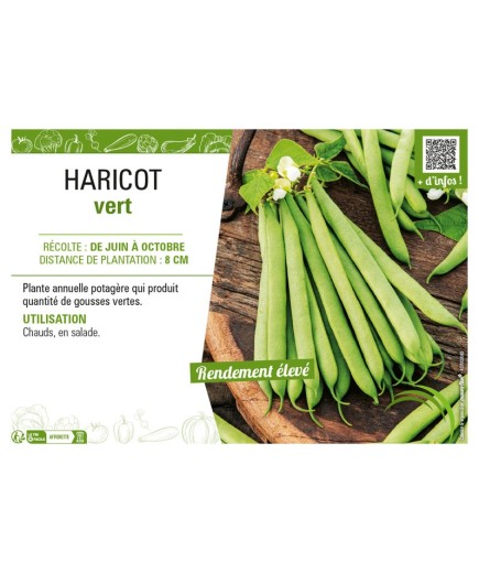 HARICOT VERT