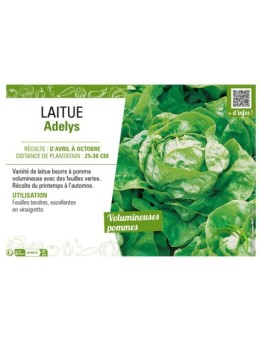 LAITUE ADELYS