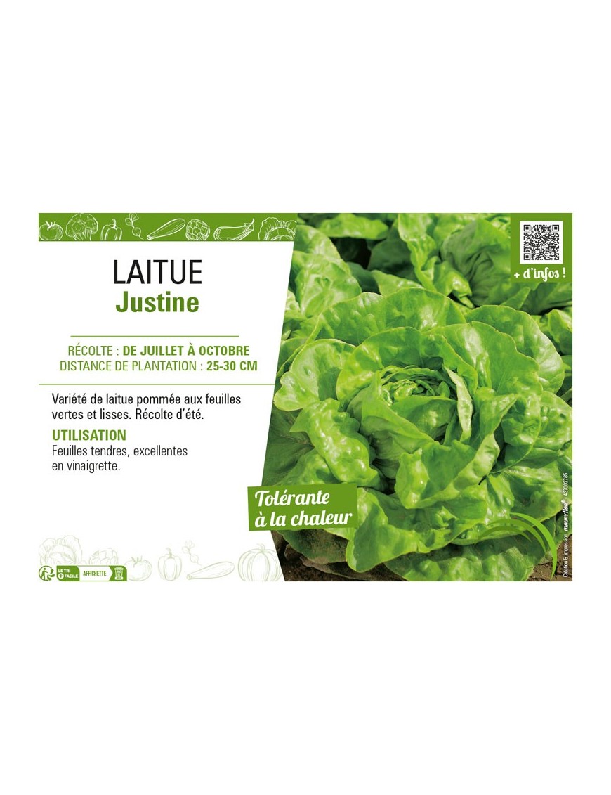 LAITUE JUSTINE