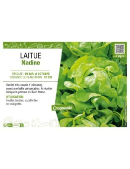 LAITUE NADINE