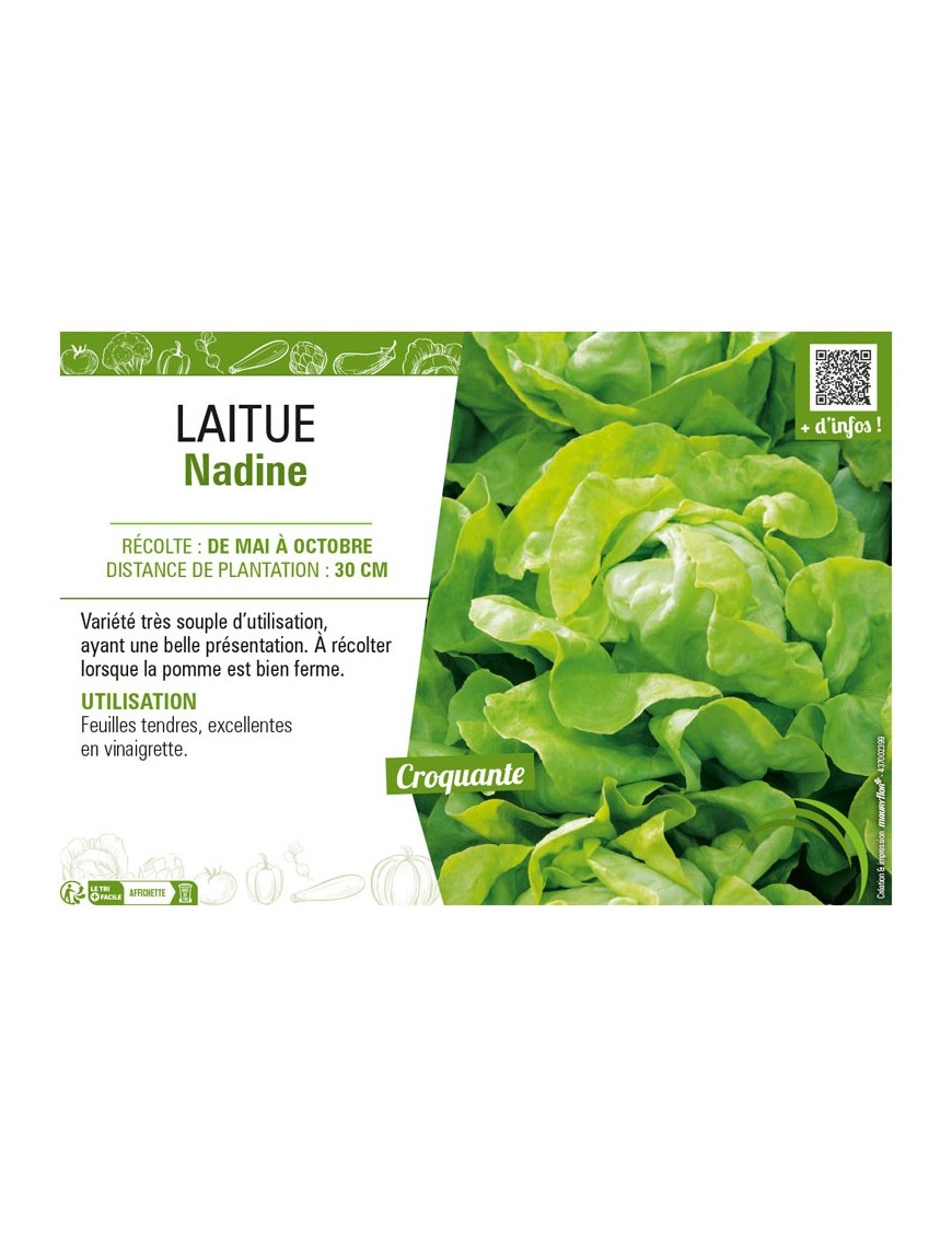 LAITUE NADINE
