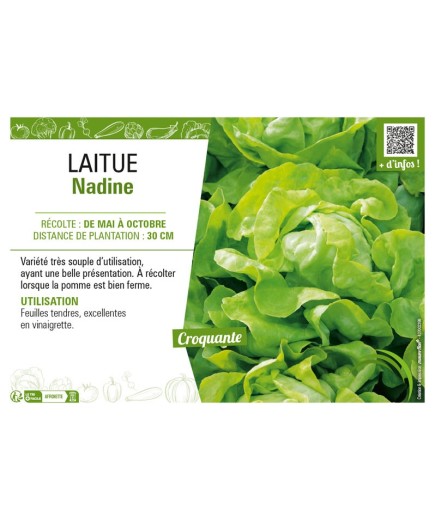 LAITUE NADINE