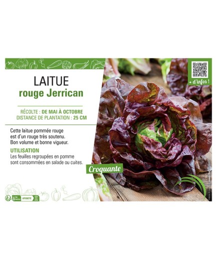 LAITUE ROUGE JERRICAN
