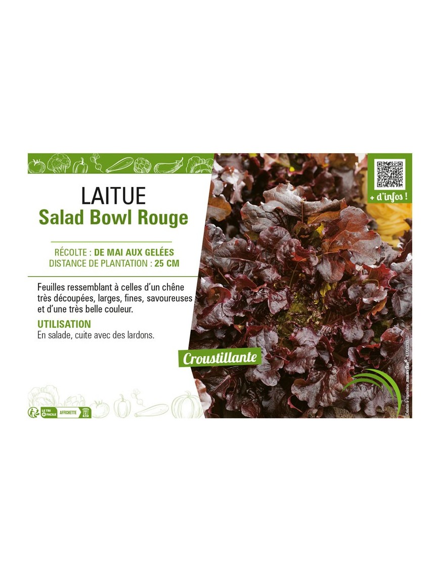 LAITUE (A COUPER) SALAD BOWL ROUGE